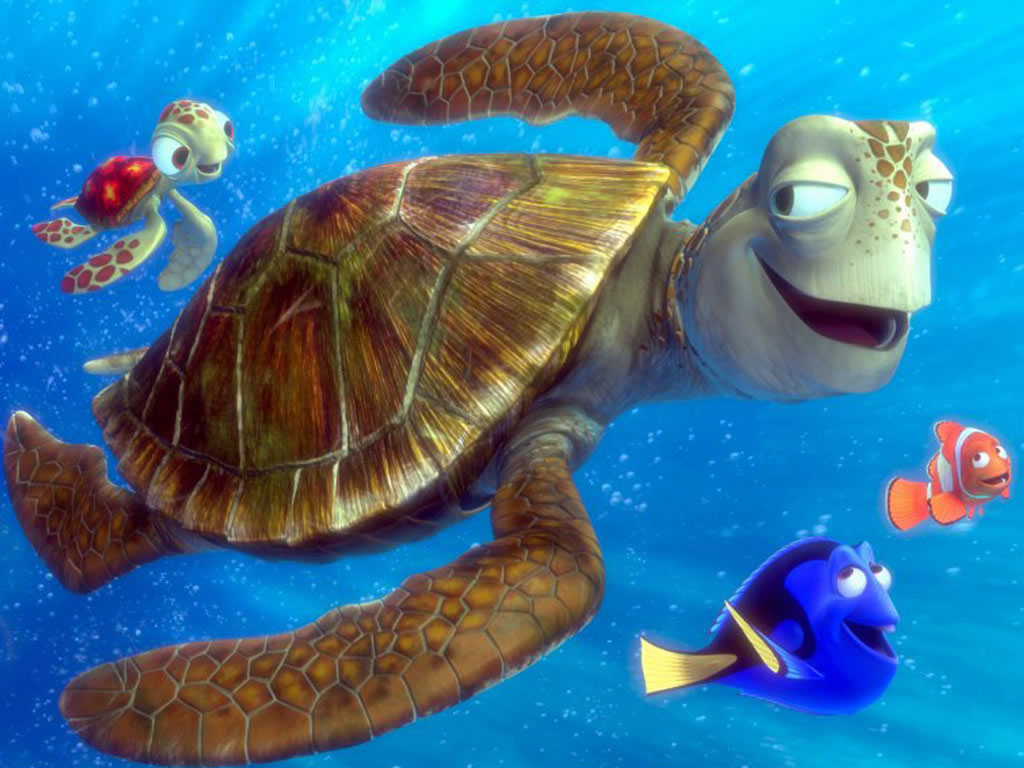 Przyjaciel żółw gdzie jest Nemo puzzle